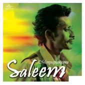Saleem - Menyayangimu