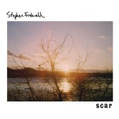 Stephen Fretwell - Scar