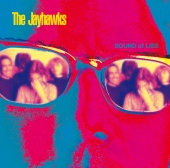 The Jayhawks - Sound Of Lies