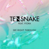 Tensnake - See Right Through
