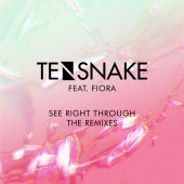 Tensnake - See Right Through [Remixes]