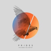 Prides - The Seeds You Sow EP