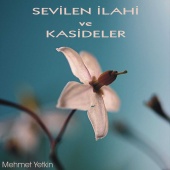 Mehmet Yetkin - Sevilen İlahi ve Kasideler