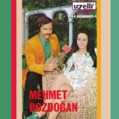 Mehmet Bozdoğan - Mehmet Bozdoğan