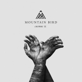 Mountain Bird - Cosmos II