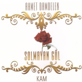 Ahmet Damdelen - Solmayan Gül-1