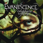 Evanescence - Anywhere But Home [Live]