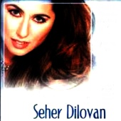 Seher Dilovan - Dardayım