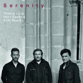 Thierry Lang & Heiri Känzig & Andi Pupato - Serenity