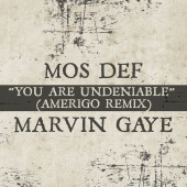 Mos Def & Marvin Gaye - You Are Undeniable [Amerigo Remix]