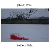 Silent Will - Seldom Said