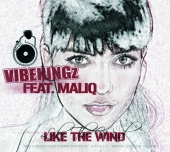 Vibekingz - Like The Wind (feat. Maliq)