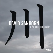 David Sanborn - Ordinary People