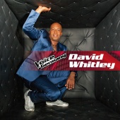 David Whitley - When Love Takes Over [From The Voice Of Germany]