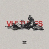 HXV - Vultures