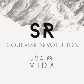 Soulfire Revolution - Usa Mi Vida