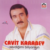 Cavit Karabey - Sevdiğimi Biliyorsun