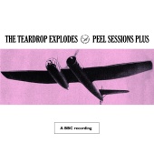 The Teardrop Explodes - Peel Sessions Plus