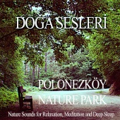 Doğa Sesleri - Polonezkoy Nature Park - Nature Sounds for Relaxation ,Meditation and Deep Sleep