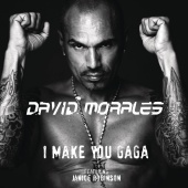 David Morales - I Make You Gaga (Zenith Nadir and Siensdeluxe Remix)