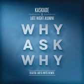 Kaskade - Why Ask Why (Digital LAB & MITS Remix)