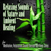 Sounds of Nature Relaxation - Relaxing Sounds of Nature and Ambient Healing for Mediation, Relaxation, Sound Therapy and Deep Sleep
