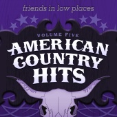 American Country Hits - Friends In Low Places - Single Tribute To Garth Brooks