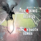 Taylan Özgür Ölmez - Tek Aşkımız Beşiktaş