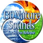 Sounds of Nature White Noise for Mindfulness & Meditation and Relaxation - 130 Nature Sounds for Stress Release