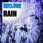 Nature Sound Collection - Rain (Nature Sounds)