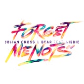 Julian Cross & Bear - Forget Me Nots (feat. Libbie) [Radio Edit]