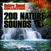 Nature Sound Collection - 200 Nature Sounds