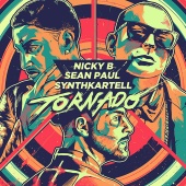 Synthkartell & Sean Paul & Nicky B - Tornado