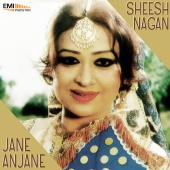 Robin Ghosh - Sheesh Nagan / Jane Anjane