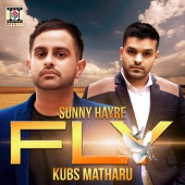 Sunny Hayre & Kubs Matharu - Fly