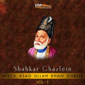 Mirza Asad Ullah Khan Ghalib - Shahkar Ghazlein, Vol. 1