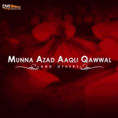 Munna Azad - Munna Azad Aaqli Qawwal and Others