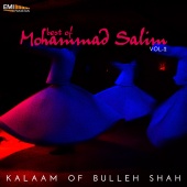 Mohammad Salim - Best of Mohammad Salim, Vol. 2