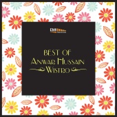Anwar Hussain Wistro - Best of Anwar Hussain Wistro