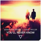 Sebastian Bronk - You'll Never Know (feat. David Taylor)