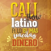 Cali Flow Latino - Dinero