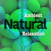 Relaxing Nature Ambience - Ambient Natural Relaxation