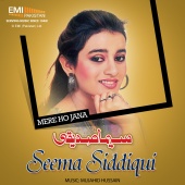 Seema Siddiqi - Best of Seema Siddqui