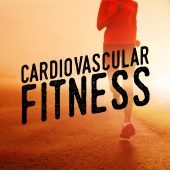 The Cardio Workout Crew - Cardiovascular Fitness