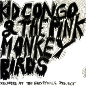 Kid Congo & the Pink Monkey Birds - Bruce Juice / El Cucuy