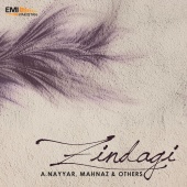 M. Ashraf - Zindagi (Original Motion Picture Soundtrack)