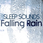 Rain Sounds - Sleep Moods - Sleep Sounds: Falling Rain