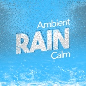 Rain Sounds Ambience - Ambient Rain Calm