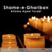 Allama Aqeel Turabi - Sham-E-Ghariban