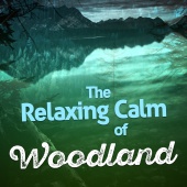 Forest Sounds Relaxing Spa Music Singing Birds - The Relaxing Calm of Woodland